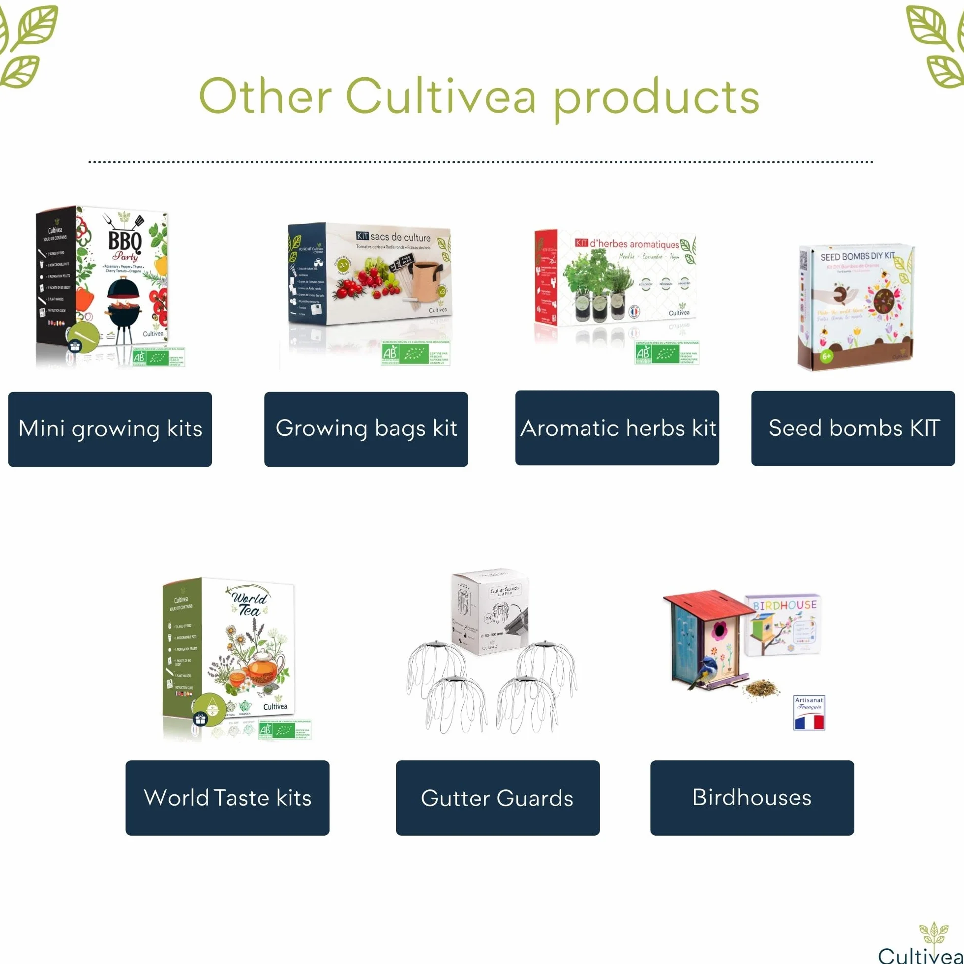 CULTIVEA® Zestaw do uprawy ziół Bio DIY z miętą, kolendrą i tymiankiem – ekologiczne nasiona, ogród w pomieszczeniu