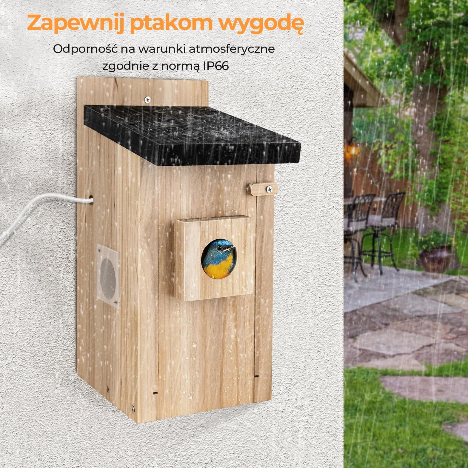 RAINBEAN Budka lęgowa z kamerą 4 miliony pikseli, obserwacja ptaków w czasie rzeczywistym