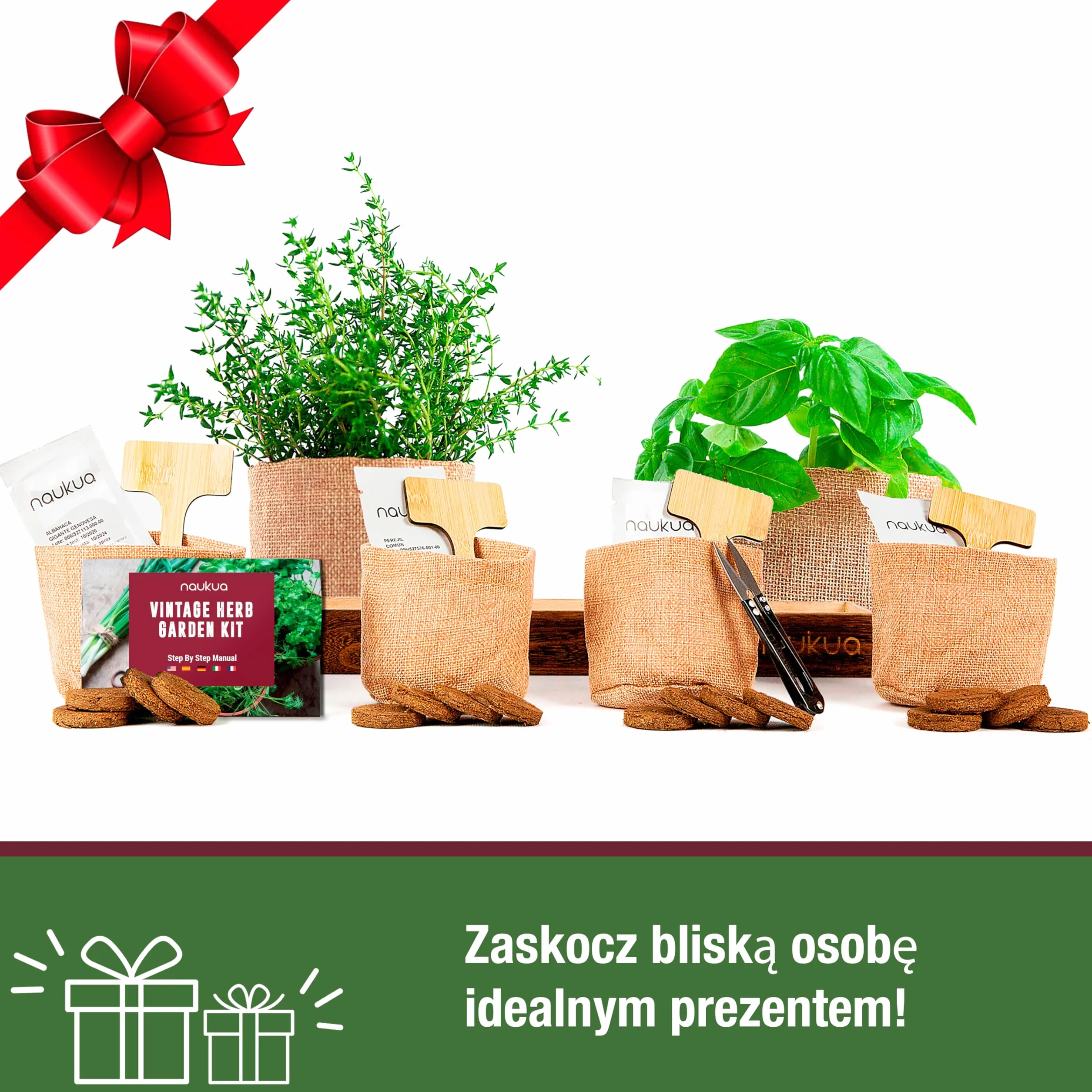 Zestaw Do Uprawy Ziół Bazylia Tymianek Pietruszka Kolendra - Organiczne Nasiona Bez GMO Hiszpania