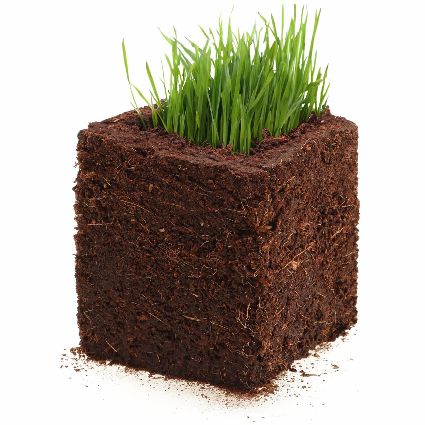 COM-FOUR® 10x ziemia do uprawy kokosa - biodegradowalne peczniejace plasterki kokosa - beztorfowe brykiety z prasowanego wlókna kokosowego na 10 litrów