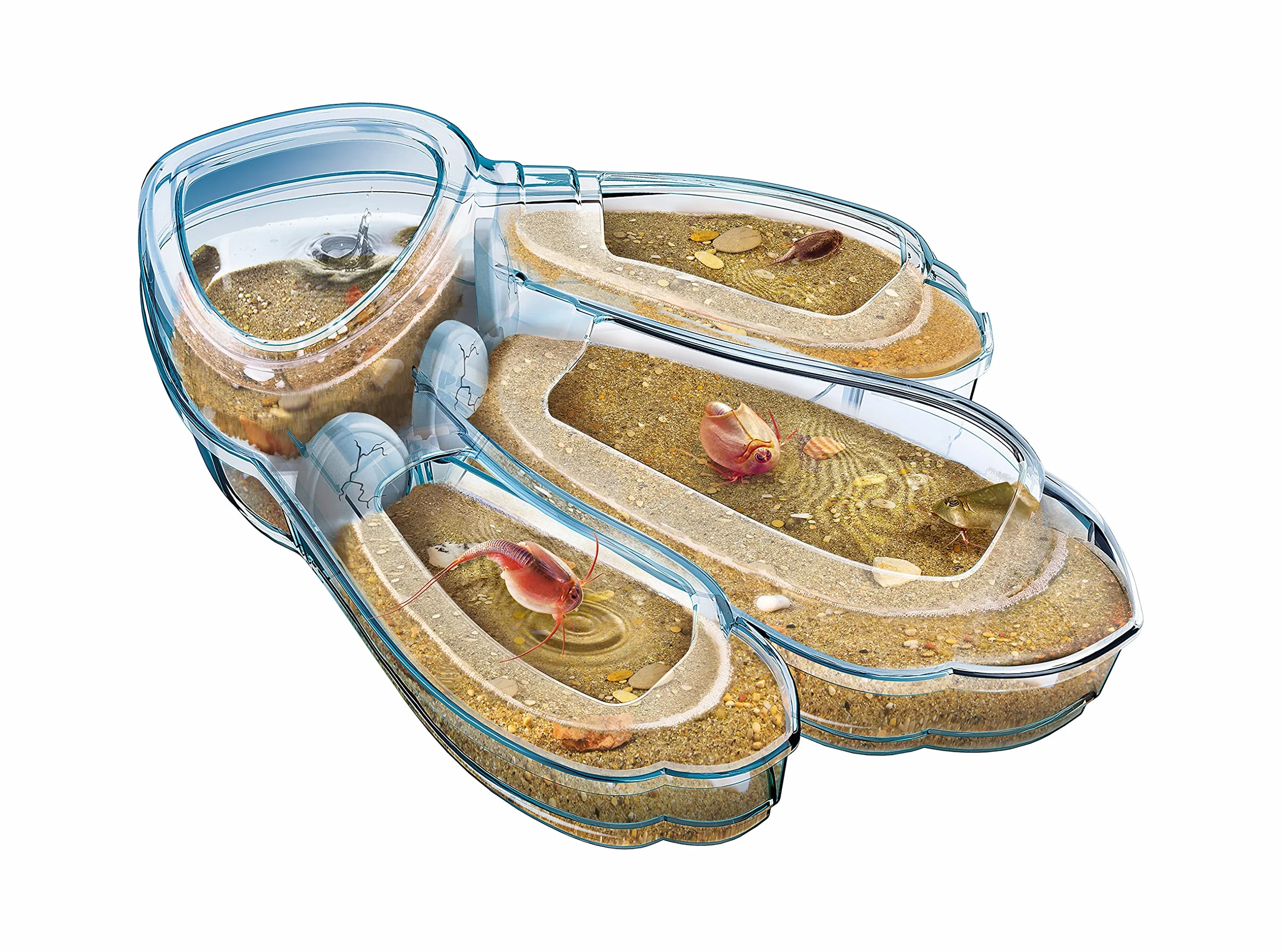Clementoni - 52565 - Laboratorium naukowe i gry - Triops, prehistoryczne zwierzęta - 8 lat gra naukowa, prehistoryczne raki dziecięce, z jajkami, wersja francuska, wyprodukowana we Włoszech