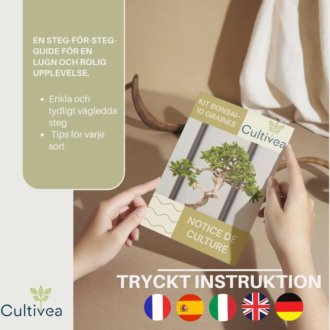 CULTIVEA® Zestaw bonsai 10 drzew - Kompletny zestaw dla początkujących z nasionami, doniczkami, narzędziami i przewodnikiem