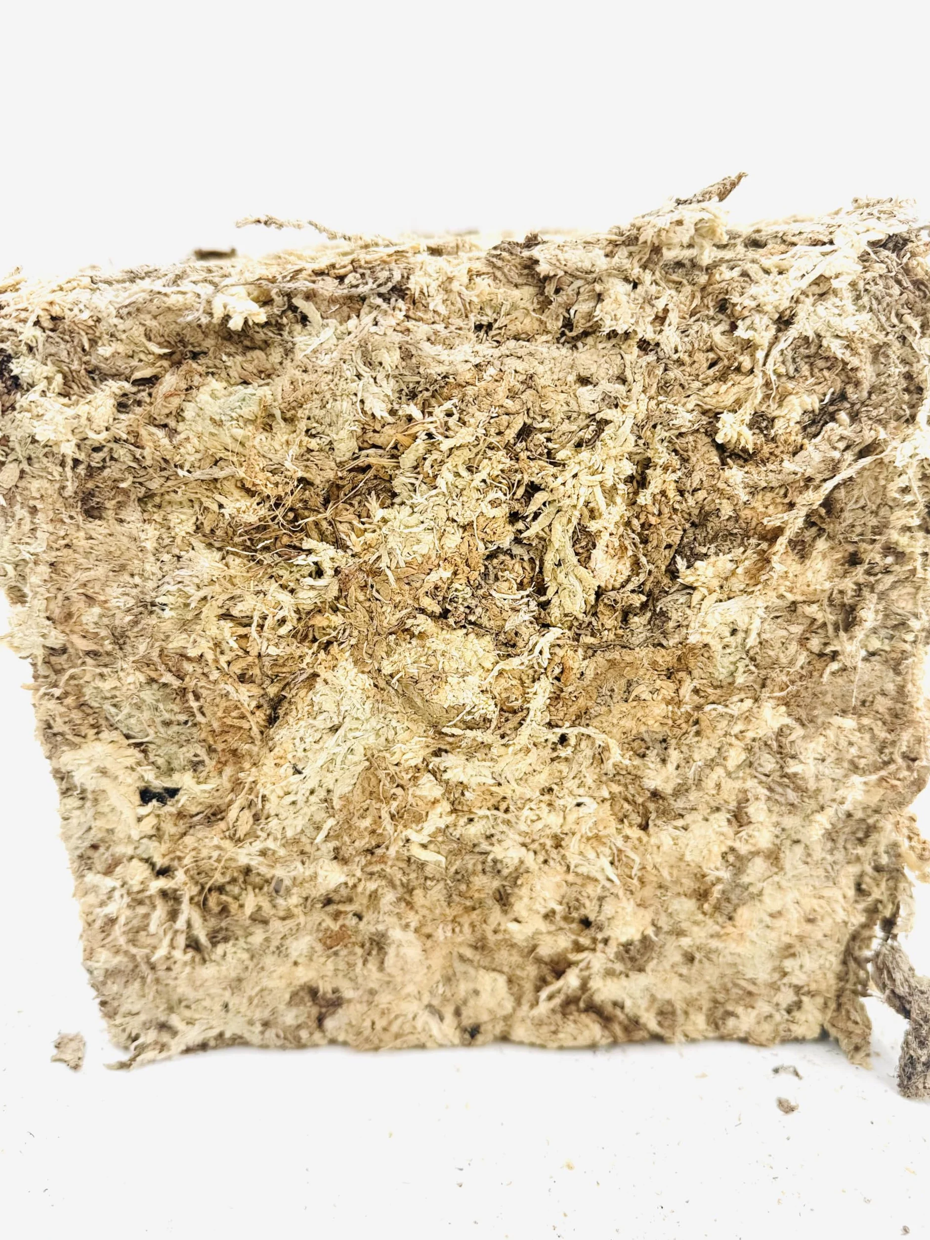 Sphagnum Moss podłoże do roślin hydroponicznych 2,20 kg 20,0 l do storczyków przesadzania rozmnażania