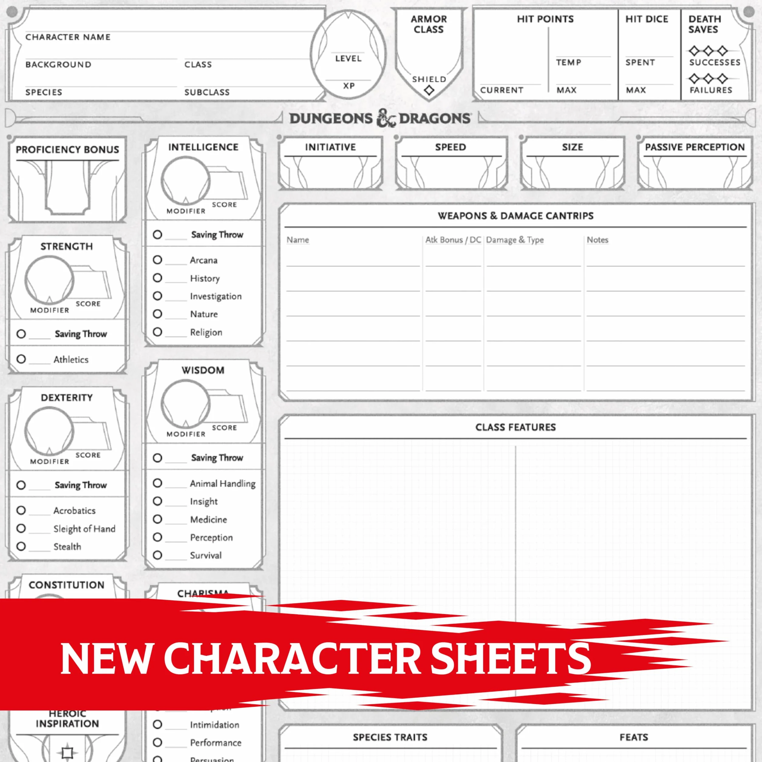 2024 Character Sheets (Dungeons & Dragons Player Accessories)