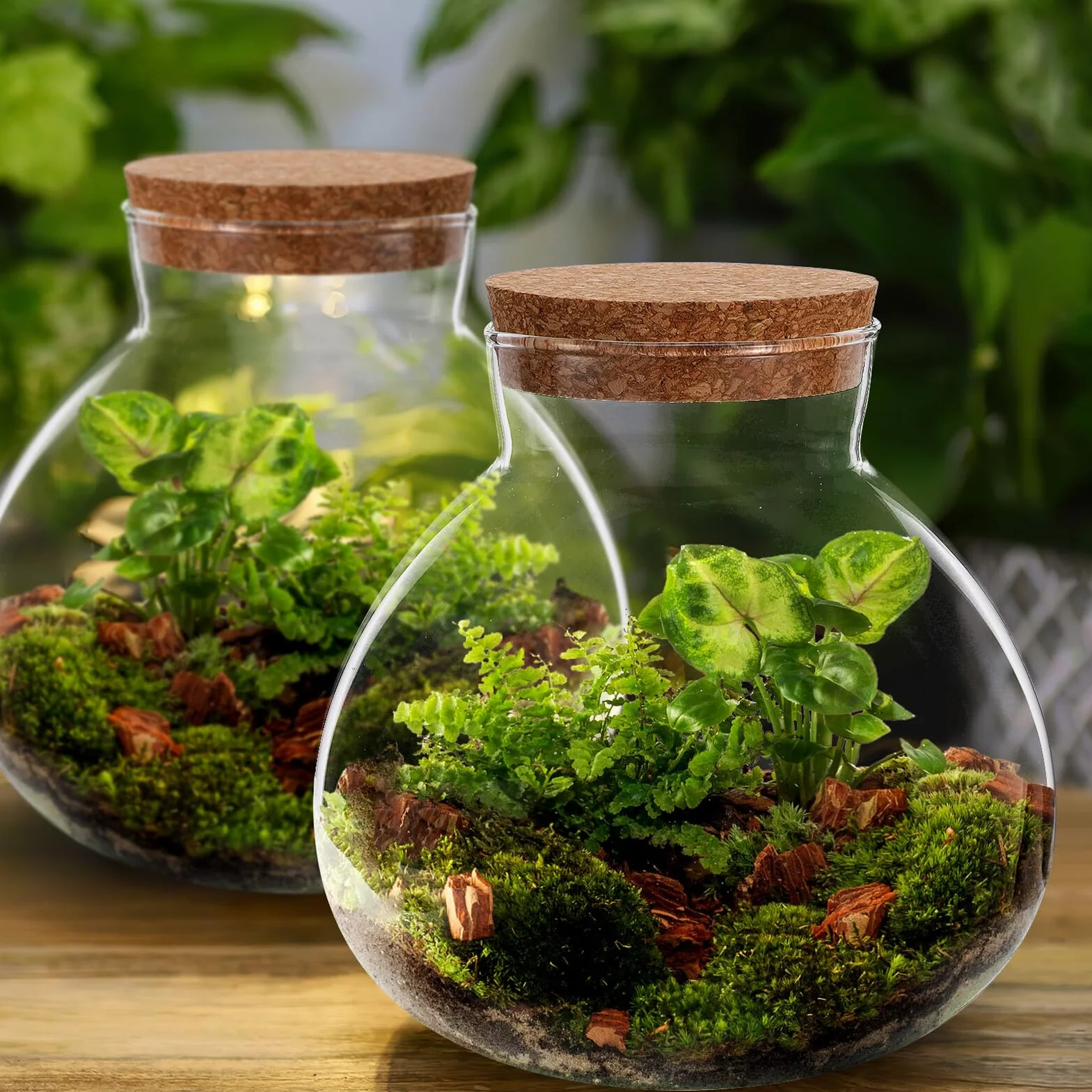Szklane Terrarium Butelka z Korkiem Okrągły Słoik Do Miniaturowych Roślin Mechowych Dekoracji Domowej
