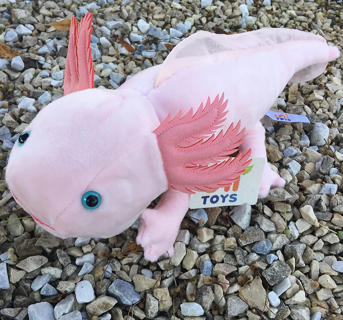Uni-Toys – Axolotl – 32 cm (długość) – zwierzę wodne – pluszowe zwierzątko pluszowe, maskotka