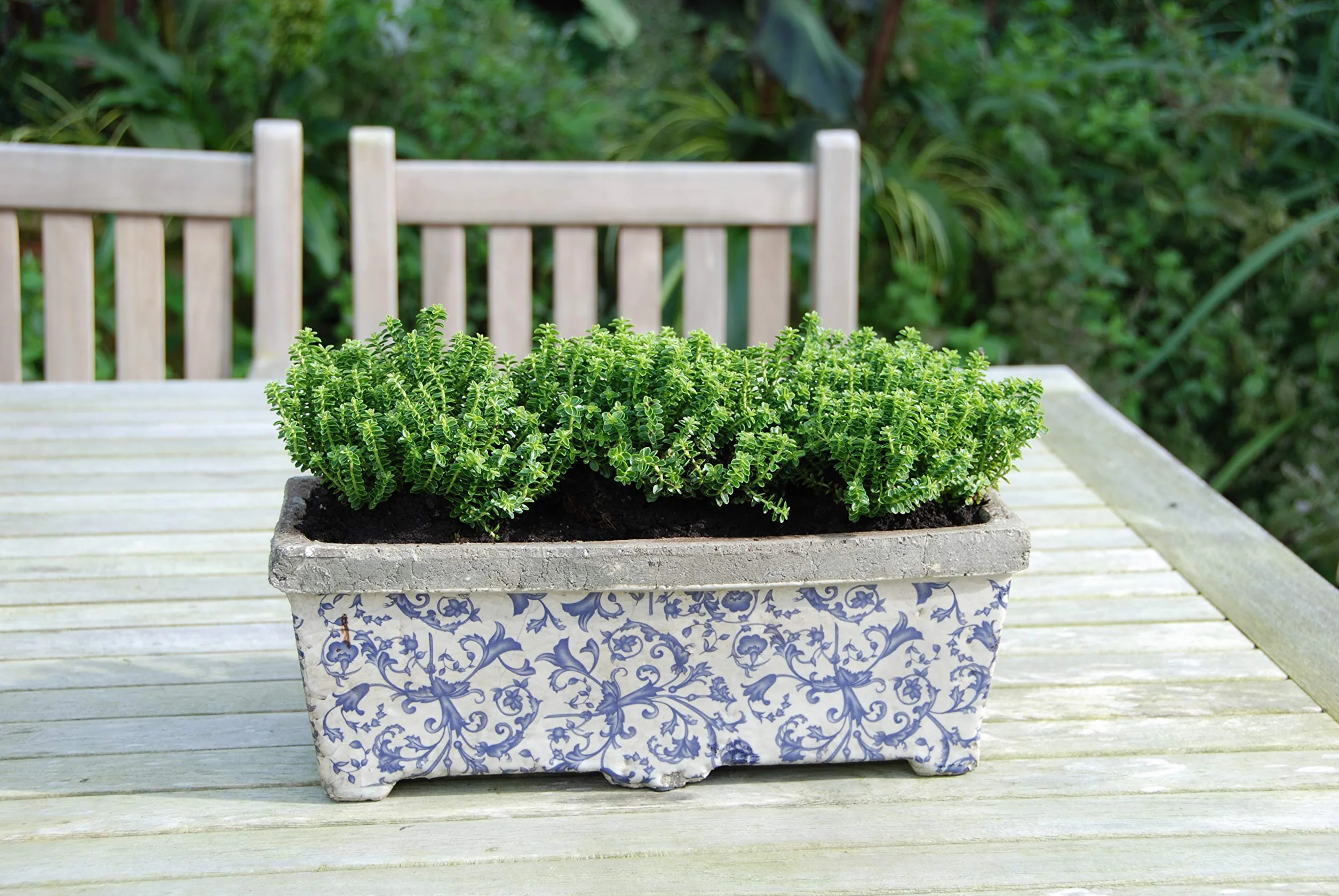 Esschert Design AC29 ceramiczna skrzynka na kwiaty 15 x 40 x 16 cm wielokolorowa