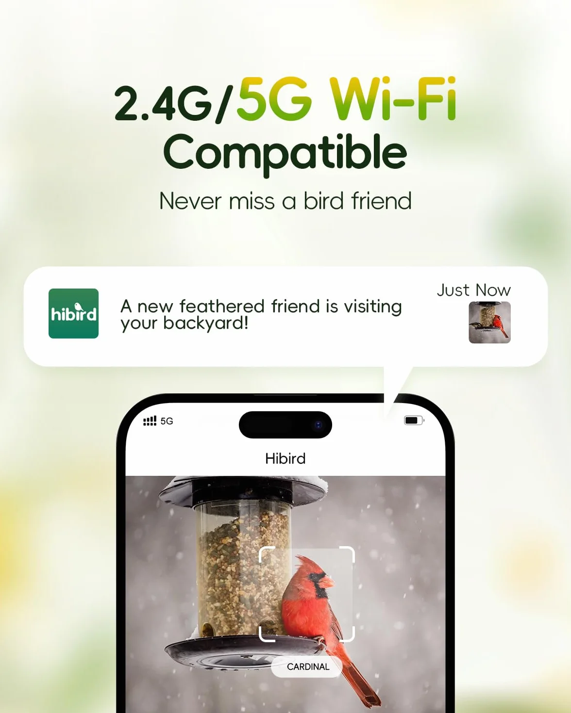 Hibird 4K HD inteligentna kamera do karmnika dla ptaków, zasilana energią słoneczną, podwójne WiFi 2,4G/5G, 6-krotny film w zwolnionym tempie, AI identyfikuje ponad 10 000 gatunków