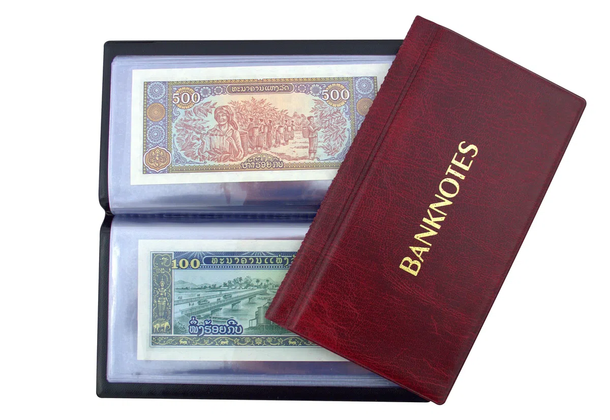 COLLECTOR Album kolekcjonerski na banknoty, album na banknoty, 20 stron, 8 x 17 cm (czerwony)