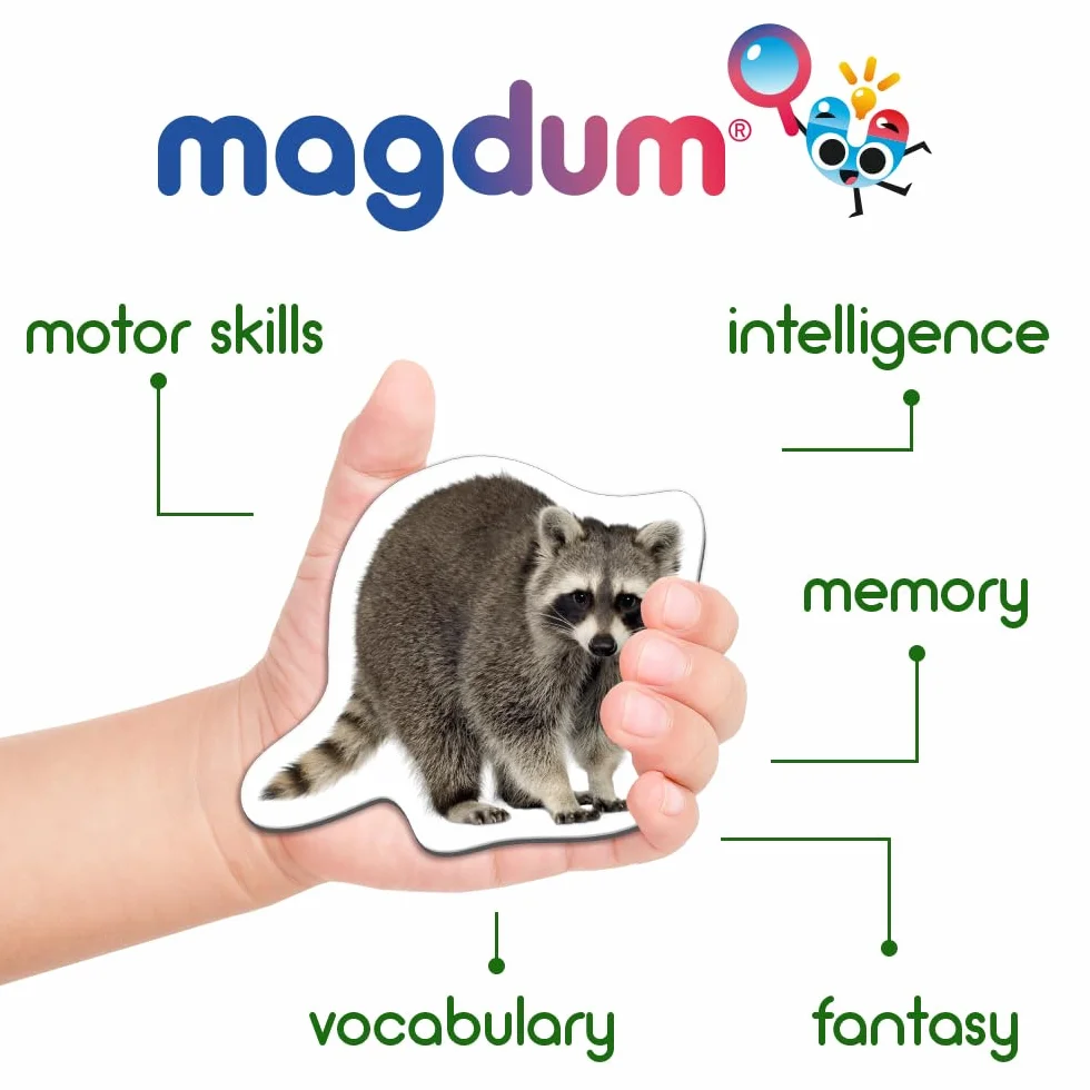 magnesy na lodówkę dla dzieci, zwierzęta leśne – 20 dużych magnesów – magnesy na lodówkę dla małych dzieci – duży magnes - magnesy do zabawy do białych tablic