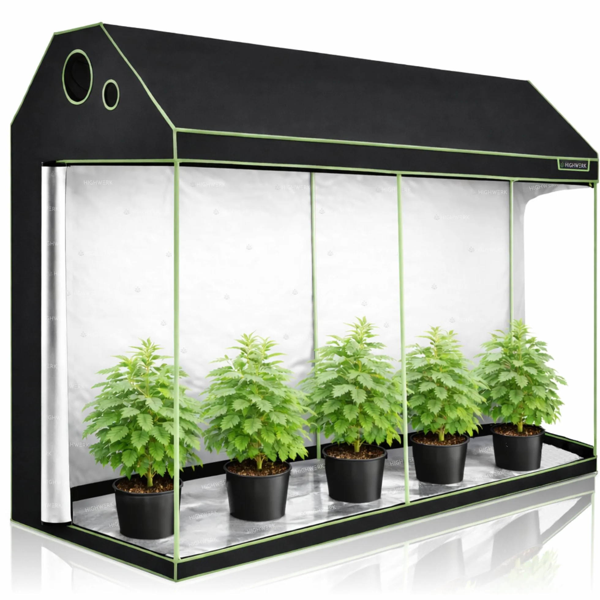 Namiot do uprawy 240 x 120 x 200 cm MyHomeGrow czarno-zielony