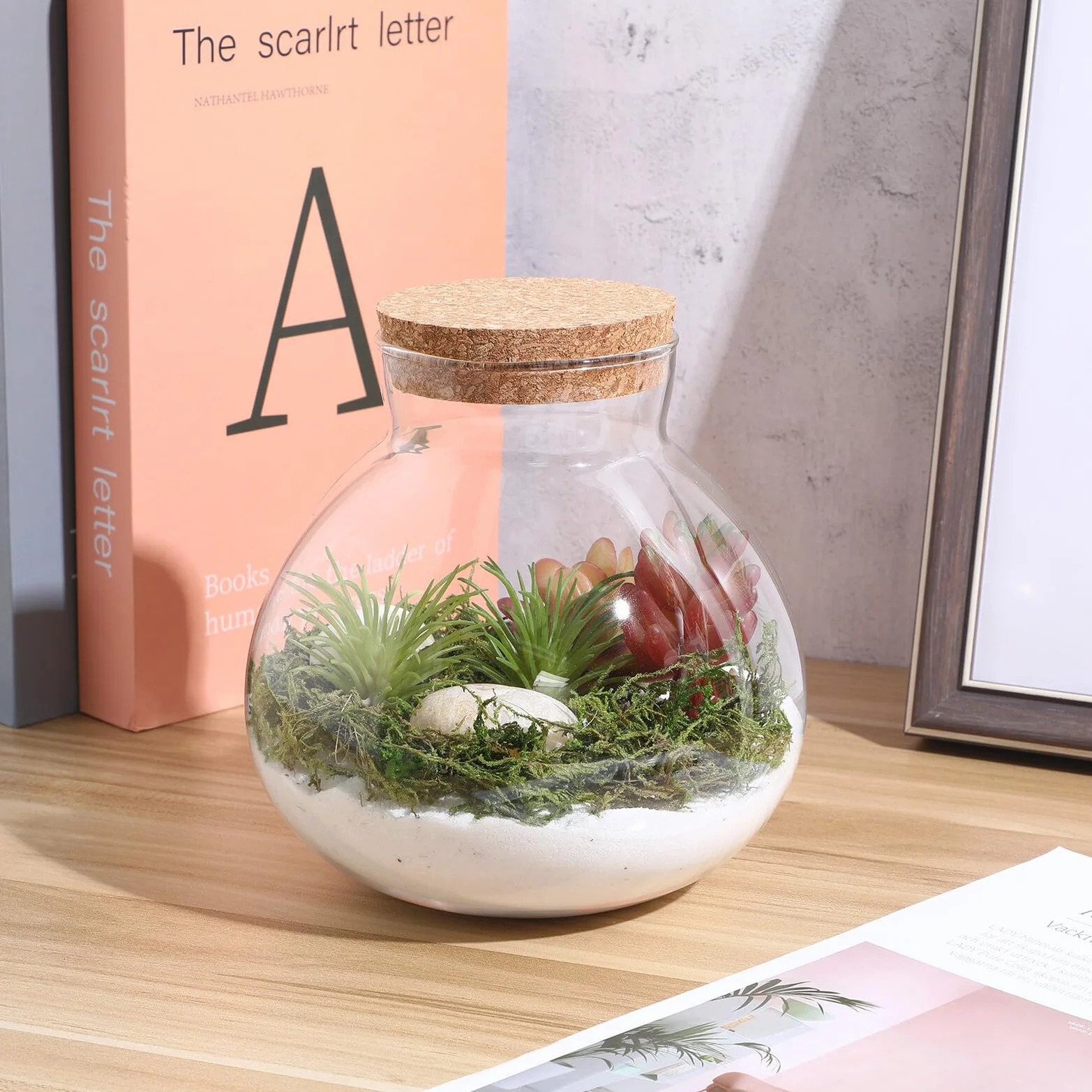 Szklane Terrarium Butelka z Korkiem Okrągły Słoik Do Miniaturowych Roślin Mechowych Dekoracji Domowej