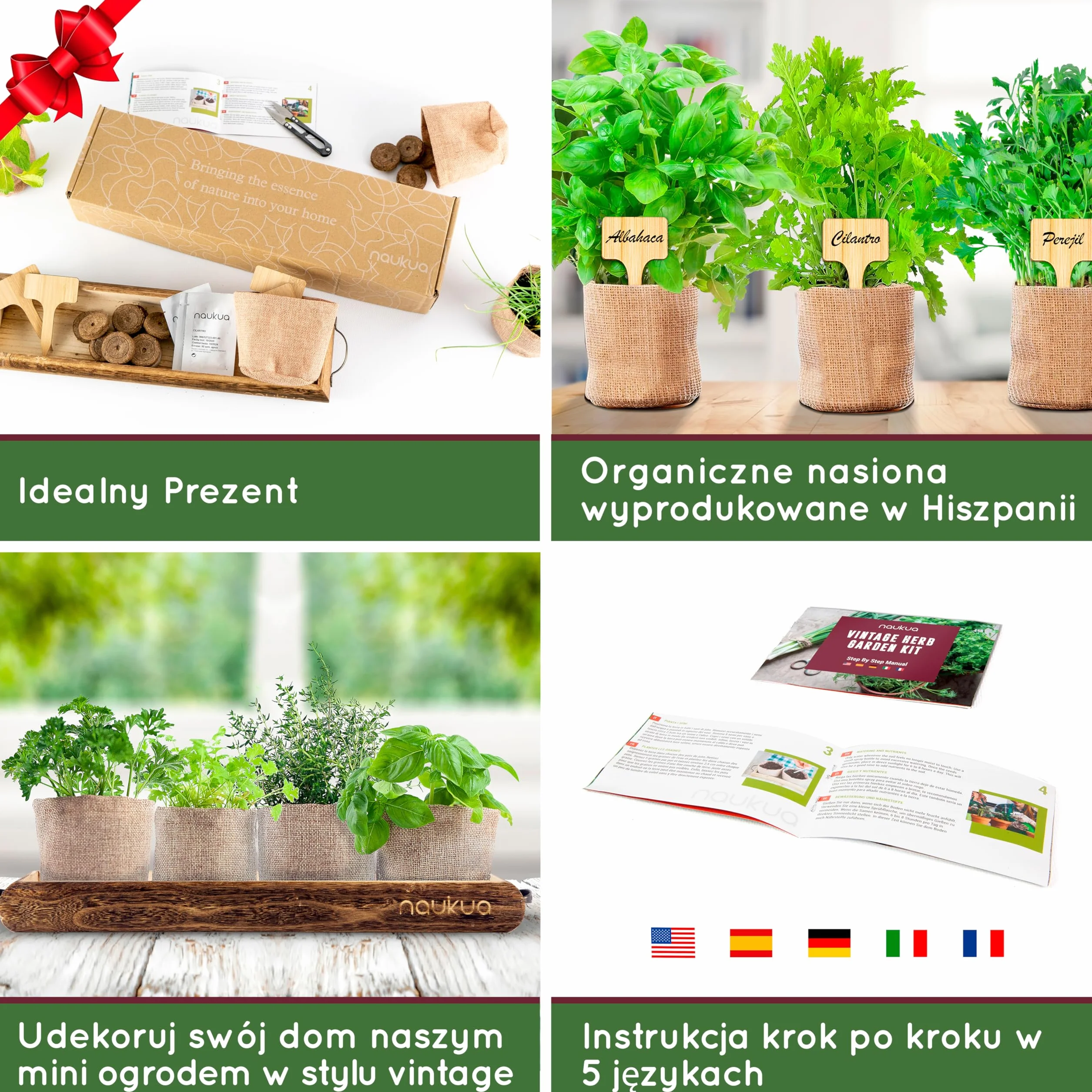 Zestaw Do Uprawy Ziół Bazylia Tymianek Pietruszka Kolendra - Organiczne Nasiona Bez GMO Hiszpania