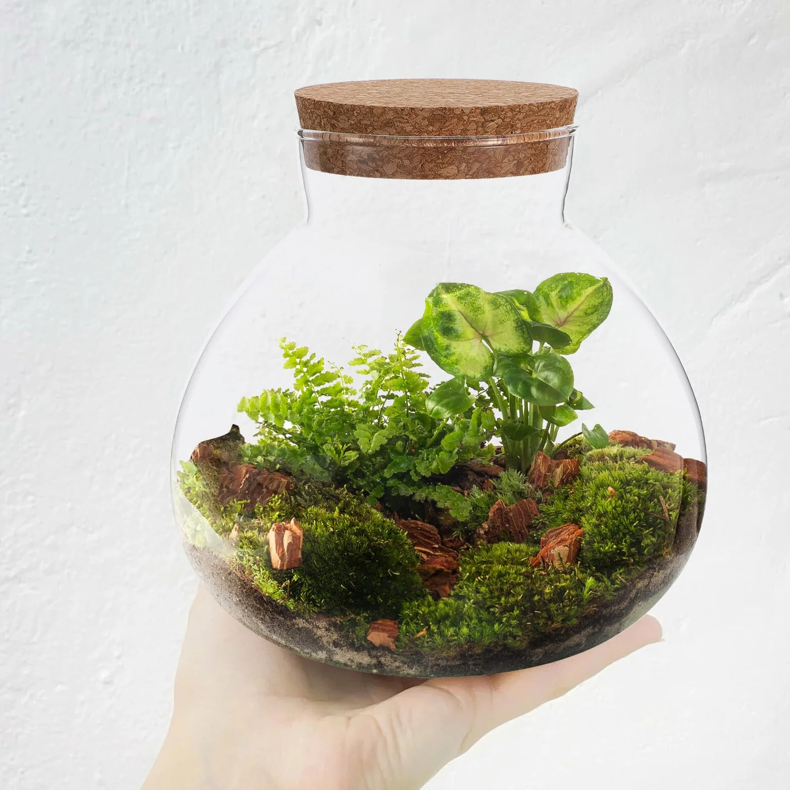 Szklane Terrarium Butelka z Korkiem Okrągły Słoik Do Miniaturowych Roślin Mechowych Dekoracji Domowej