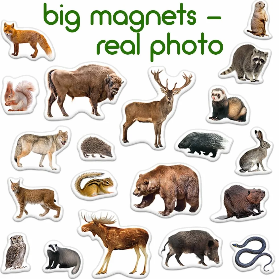 magnesy na lodówkę dla dzieci, zwierzęta leśne – 20 dużych magnesów – magnesy na lodówkę dla małych dzieci – duży magnes - magnesy do zabawy do białych tablic