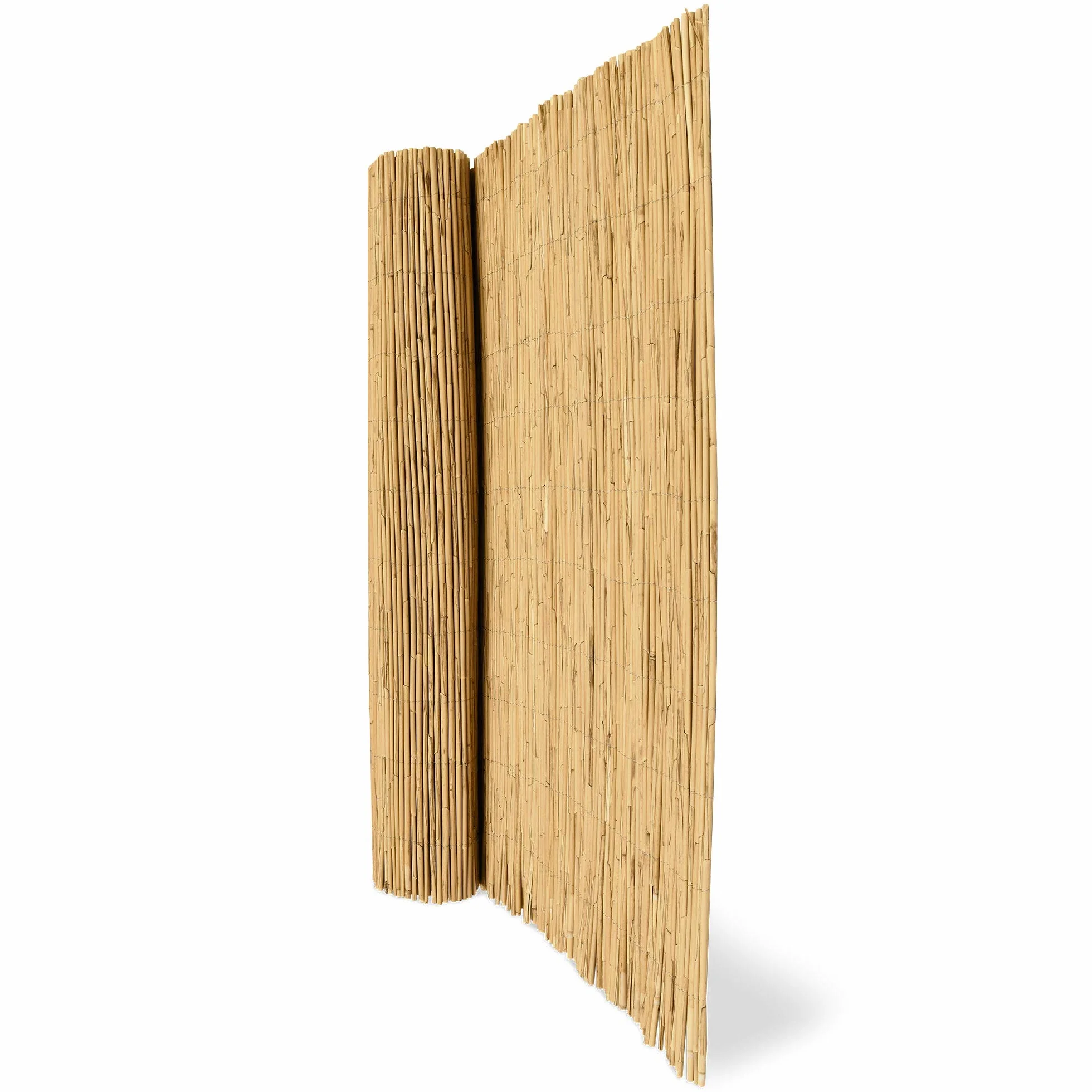 Sol Royal Premium Parawan Ogrodowy SolVision S36 Osłona z Trzciny Naturalny 100x600 cm