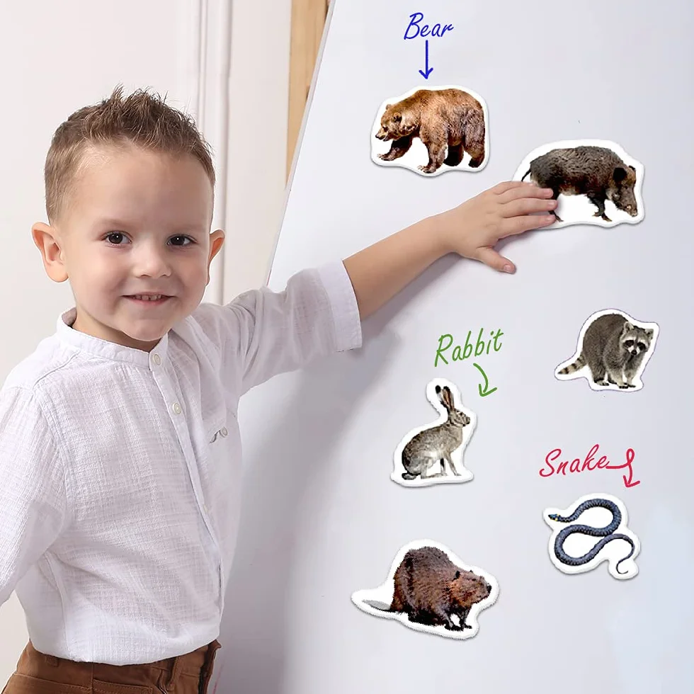 magnesy na lodówkę dla dzieci, zwierzęta leśne – 20 dużych magnesów – magnesy na lodówkę dla małych dzieci – duży magnes - magnesy do zabawy do białych tablic