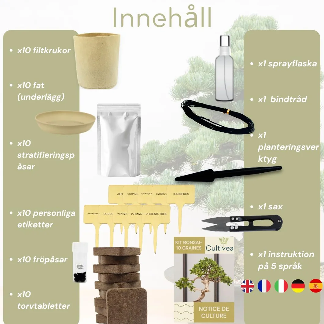 CULTIVEA® Zestaw bonsai 10 drzew - Kompletny zestaw dla początkujących z nasionami, doniczkami, narzędziami i przewodnikiem