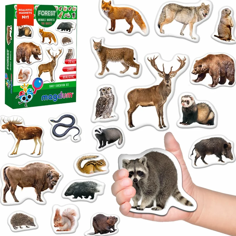 magnesy na lodówkę dla dzieci, zwierzęta leśne – 20 dużych magnesów – magnesy na lodówkę dla małych dzieci – duży magnes - magnesy do zabawy do białych tablic
