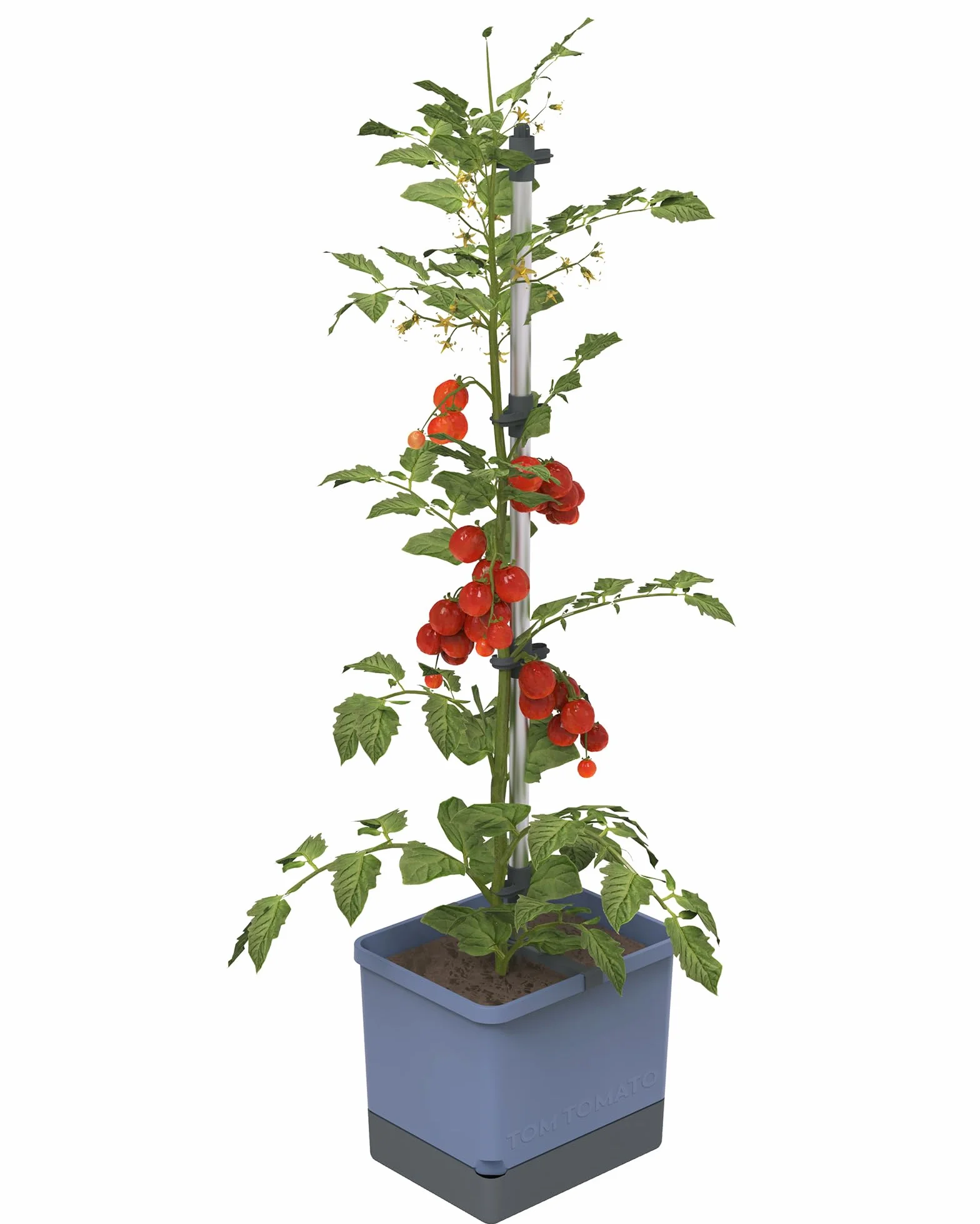 Gusta Garden doniczka na pomidory niebieska 4,5 l zbiornik na wodę 20 l objętość ziemi