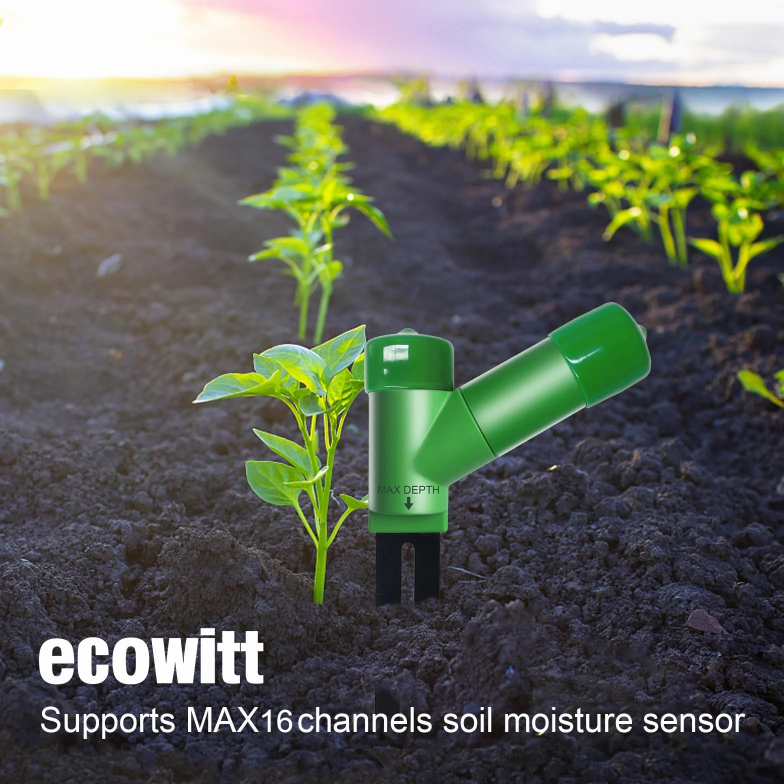 ECOWITT WH51 Miernik wilgotności gleby Czujnik higrometru 868 MHz