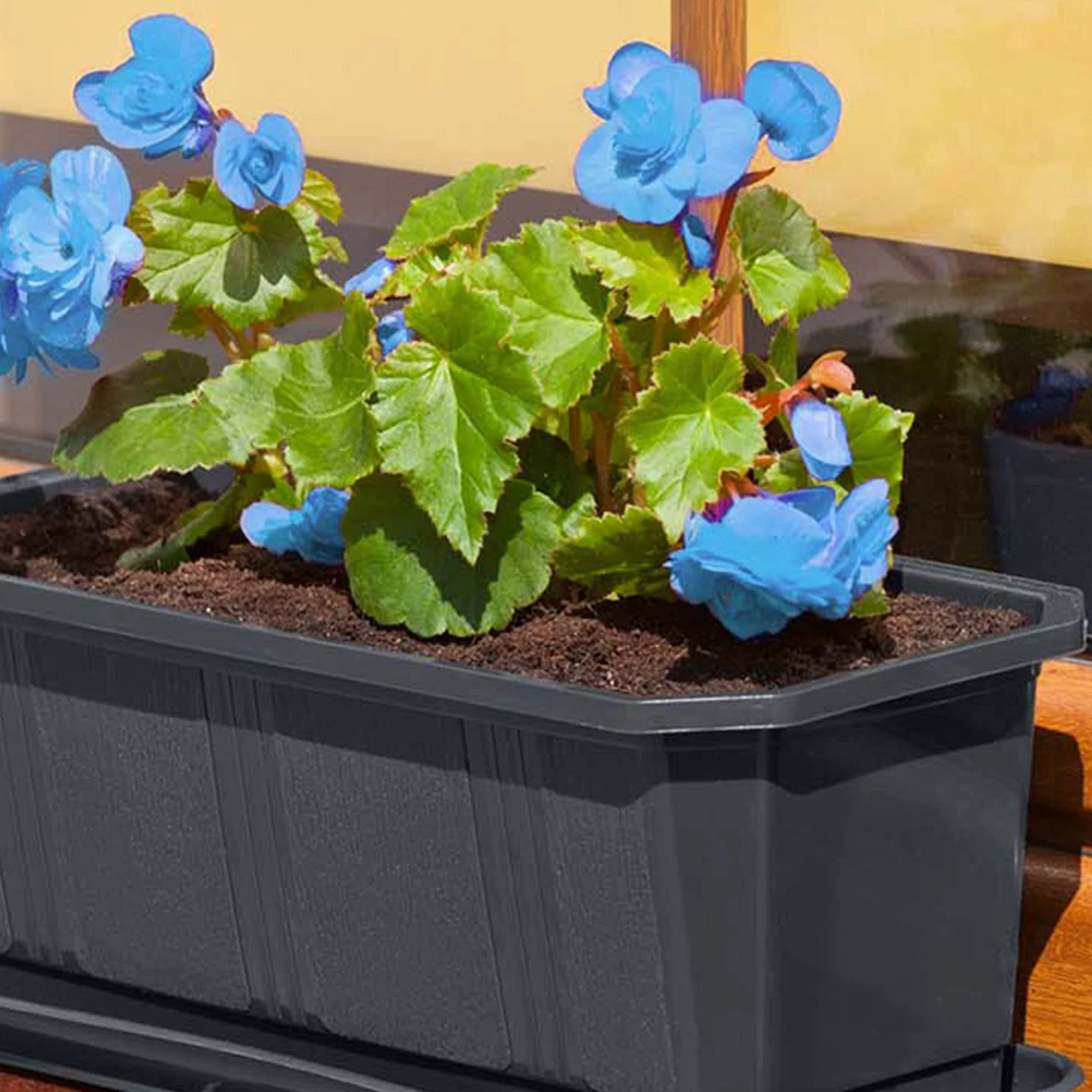 KADAX Skrzynki balkonowe 4x80 cm antracyt na kwiaty i zioła