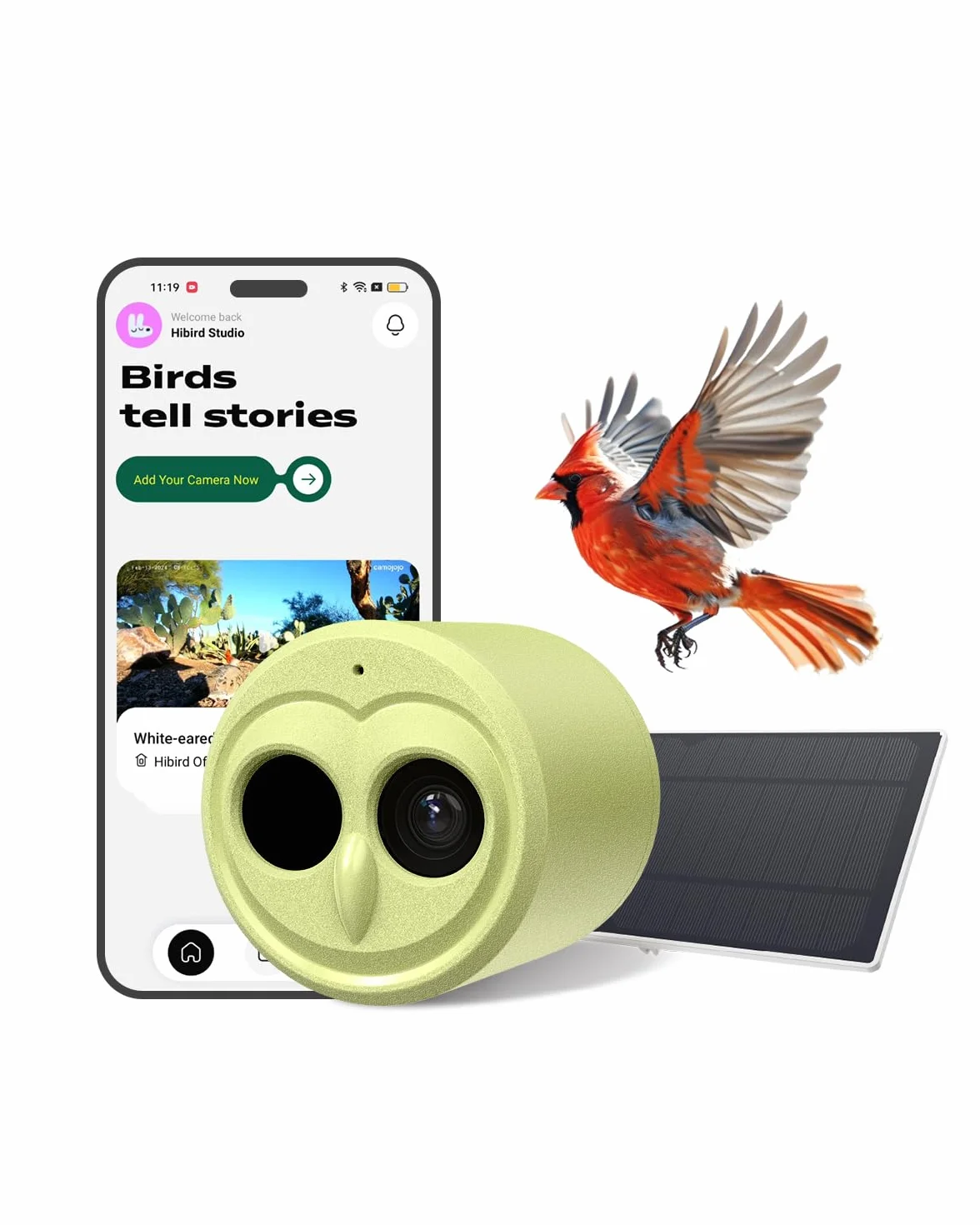 Hibird 4K HD inteligentna kamera do karmnika dla ptaków, zasilana energią słoneczną, podwójne WiFi 2,4G/5G, 6-krotny film w zwolnionym tempie, AI identyfikuje ponad 10 000 gatunków