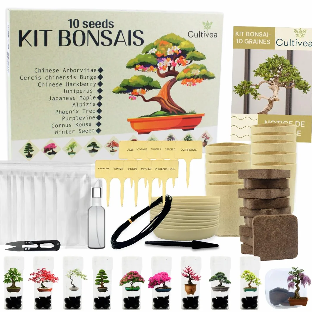 CULTIVEA® Zestaw bonsai 10 drzew - Kompletny zestaw dla początkujących z nasionami, doniczkami, narzędziami i przewodnikiem