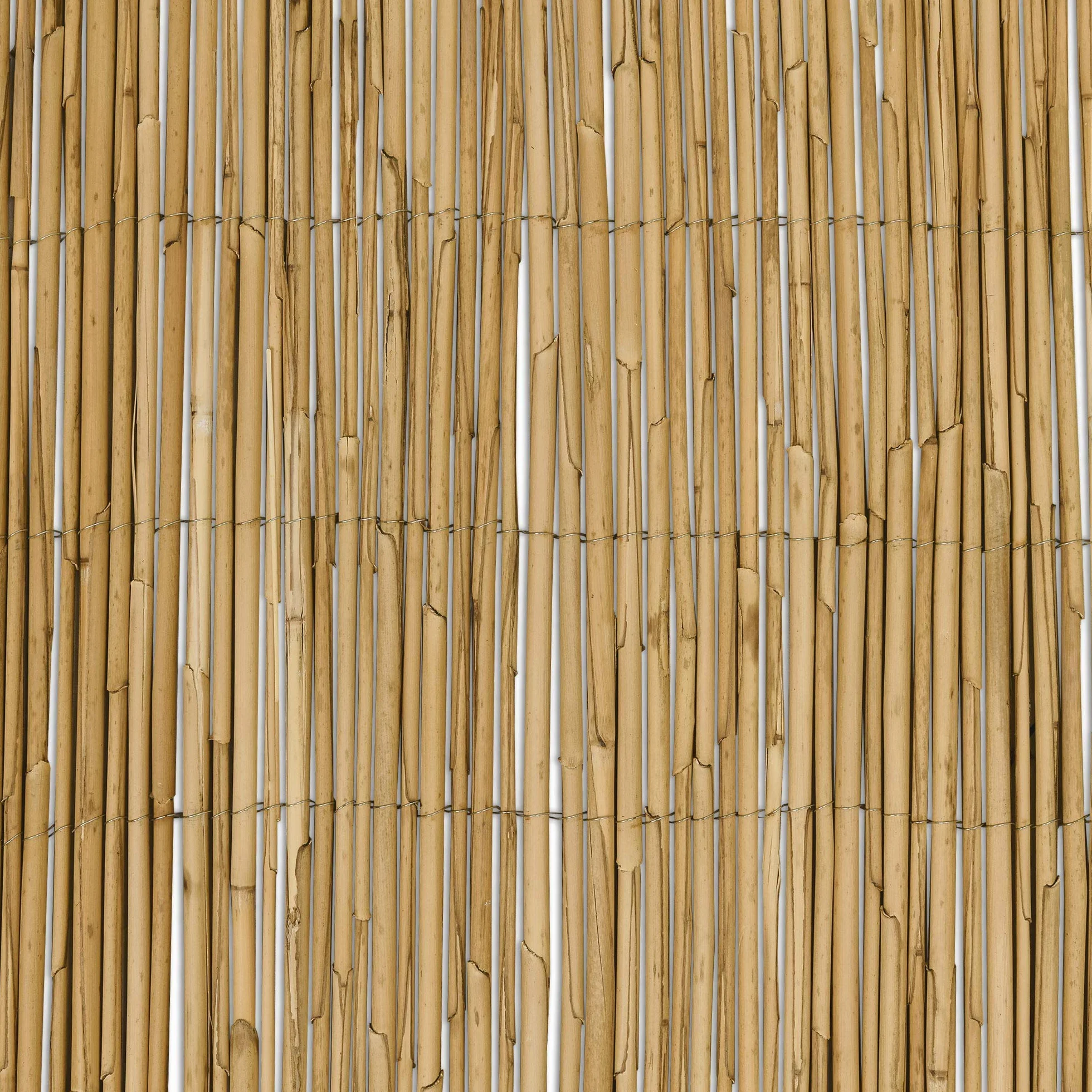 Sol Royal Premium Parawan Ogrodowy SolVision S36 Osłona z Trzciny Naturalny 100x600 cm