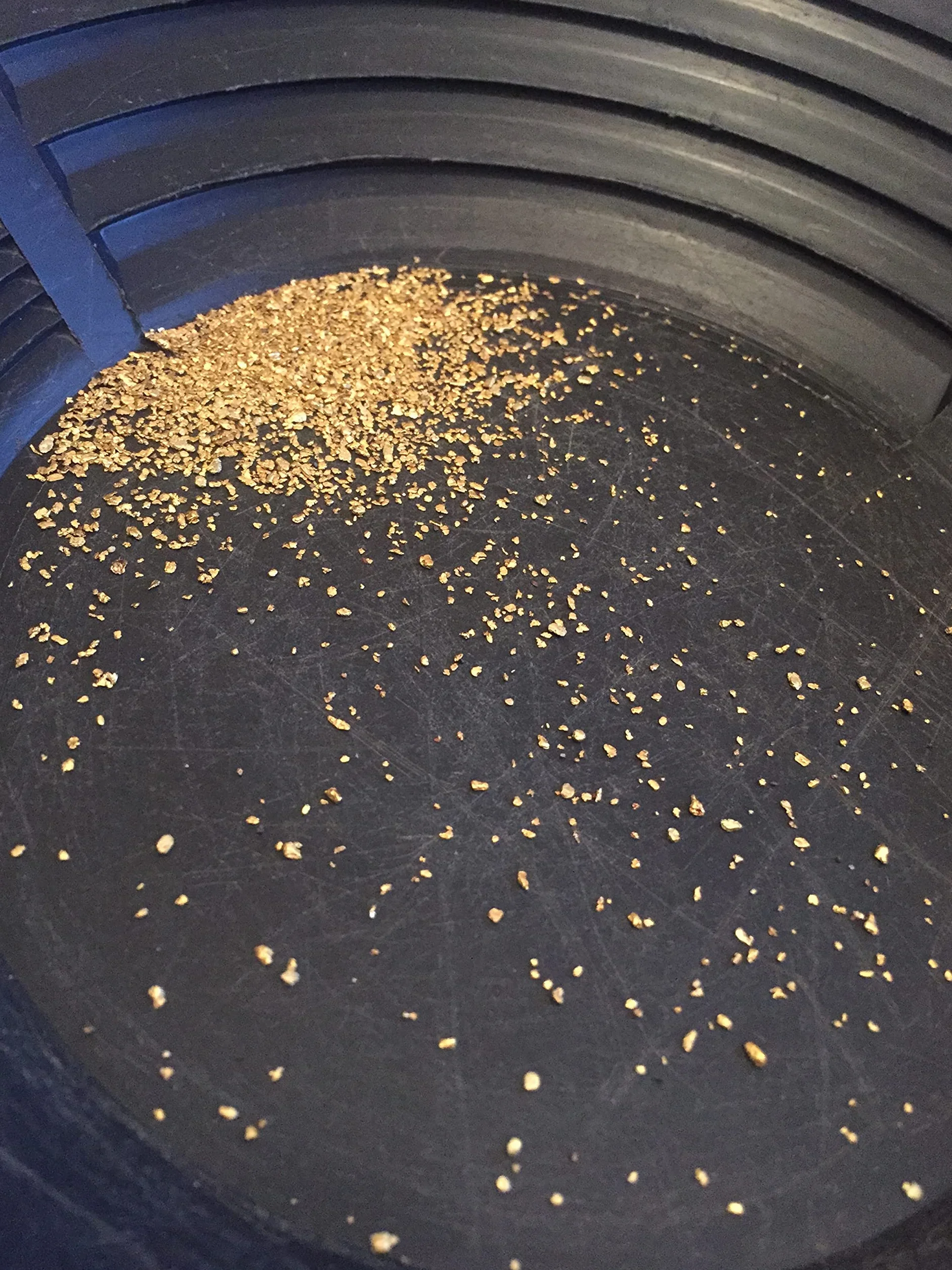 Scottish Gold Paydirt Heavy Black Sands Gold Panning Concentrates