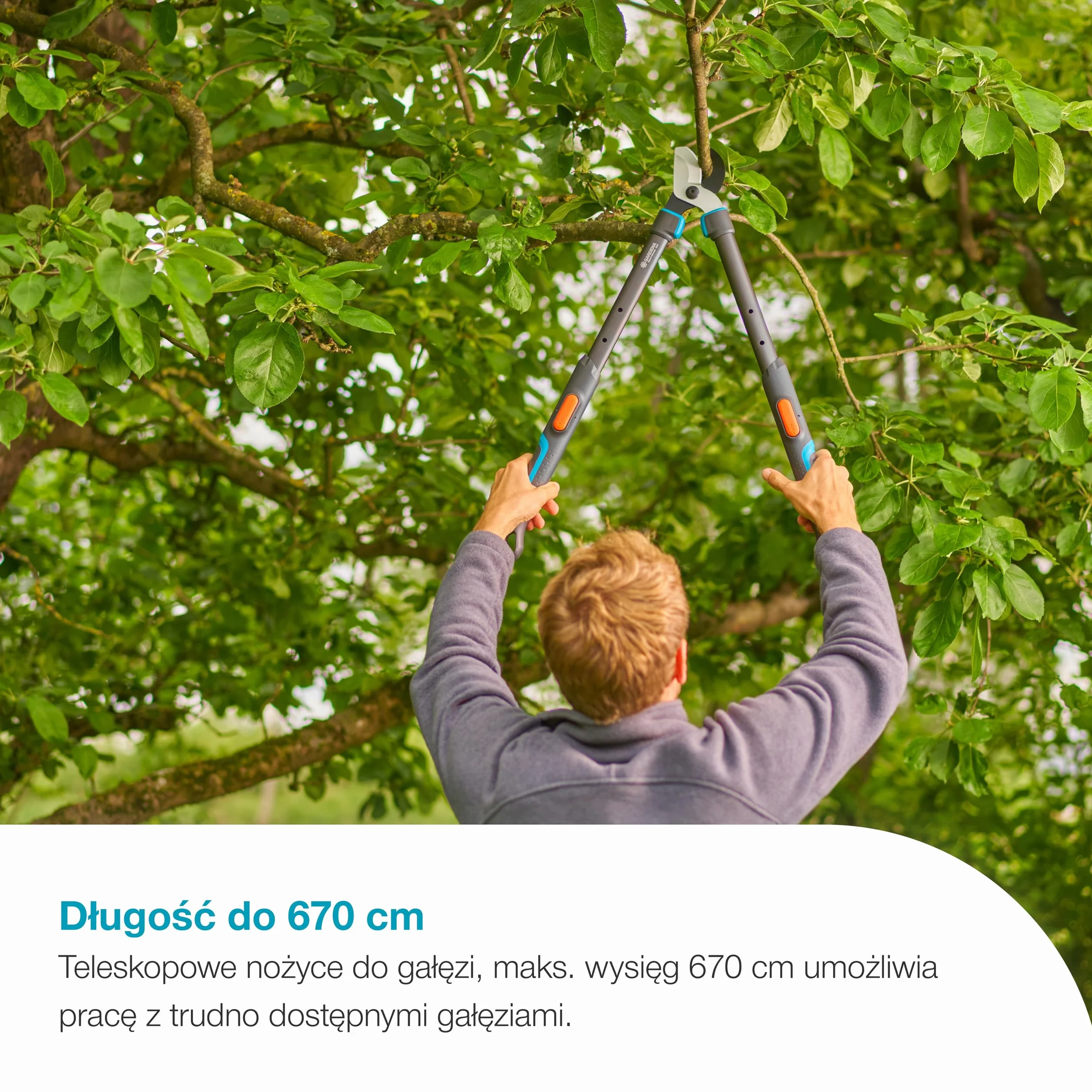Gardena Nożyce do gałęzi TeleCut Pro S teleskopowe do 50 mm 670 mm precyzyjnie szlifowane ostrza