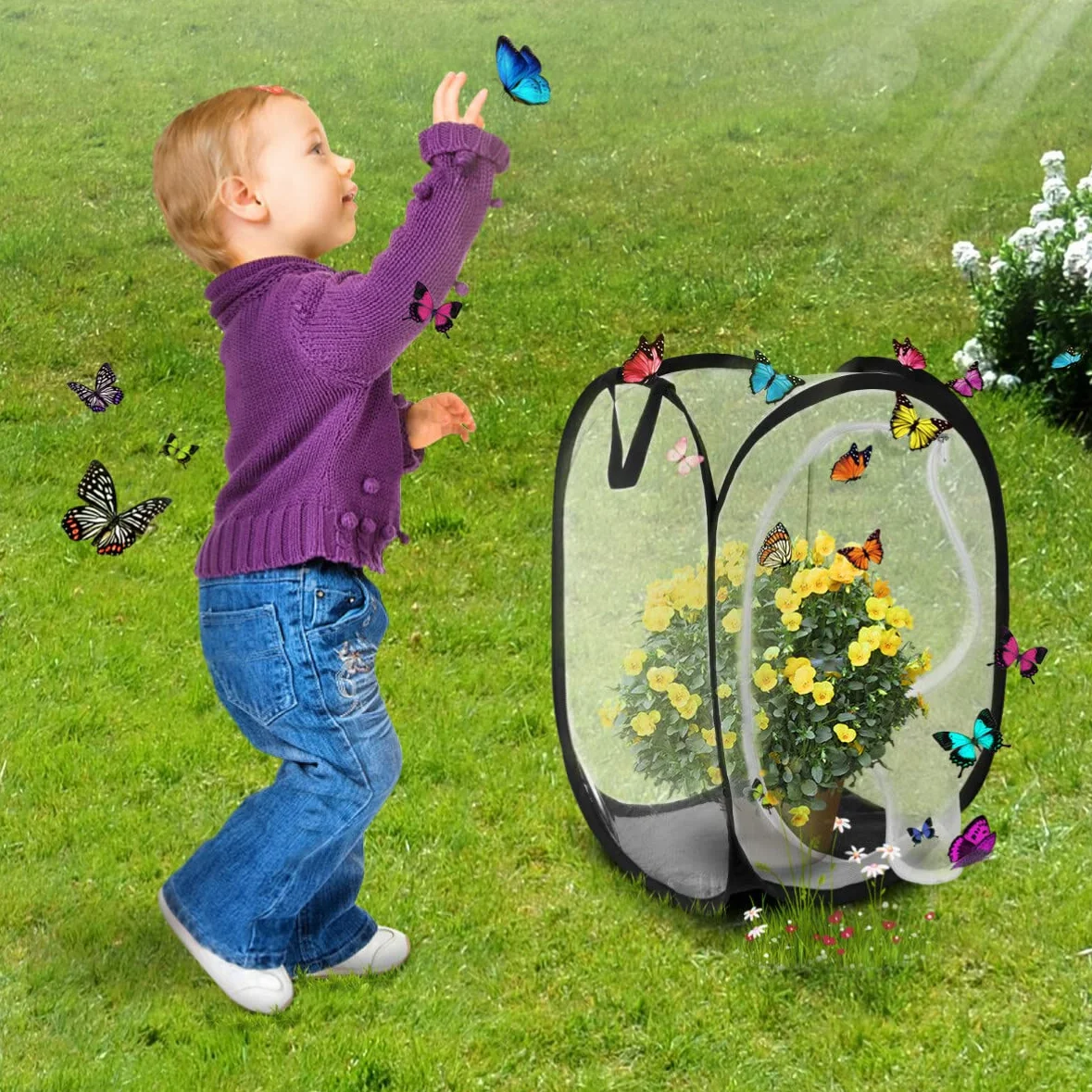 Siedlisko owadów przenośne 61 cm czarna siatka terrarium motyl monarcha