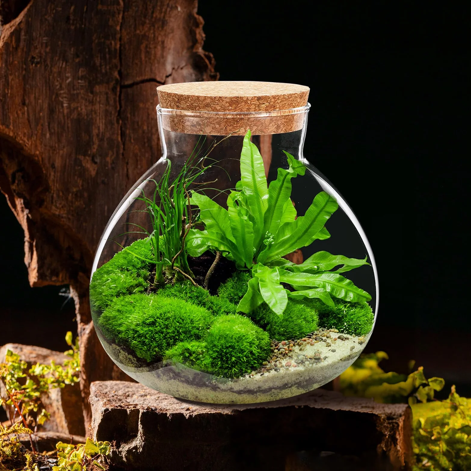 Szklane Terrarium Butelka z Korkiem Okrągły Słoik Do Miniaturowych Roślin Mechowych Dekoracji Domowej