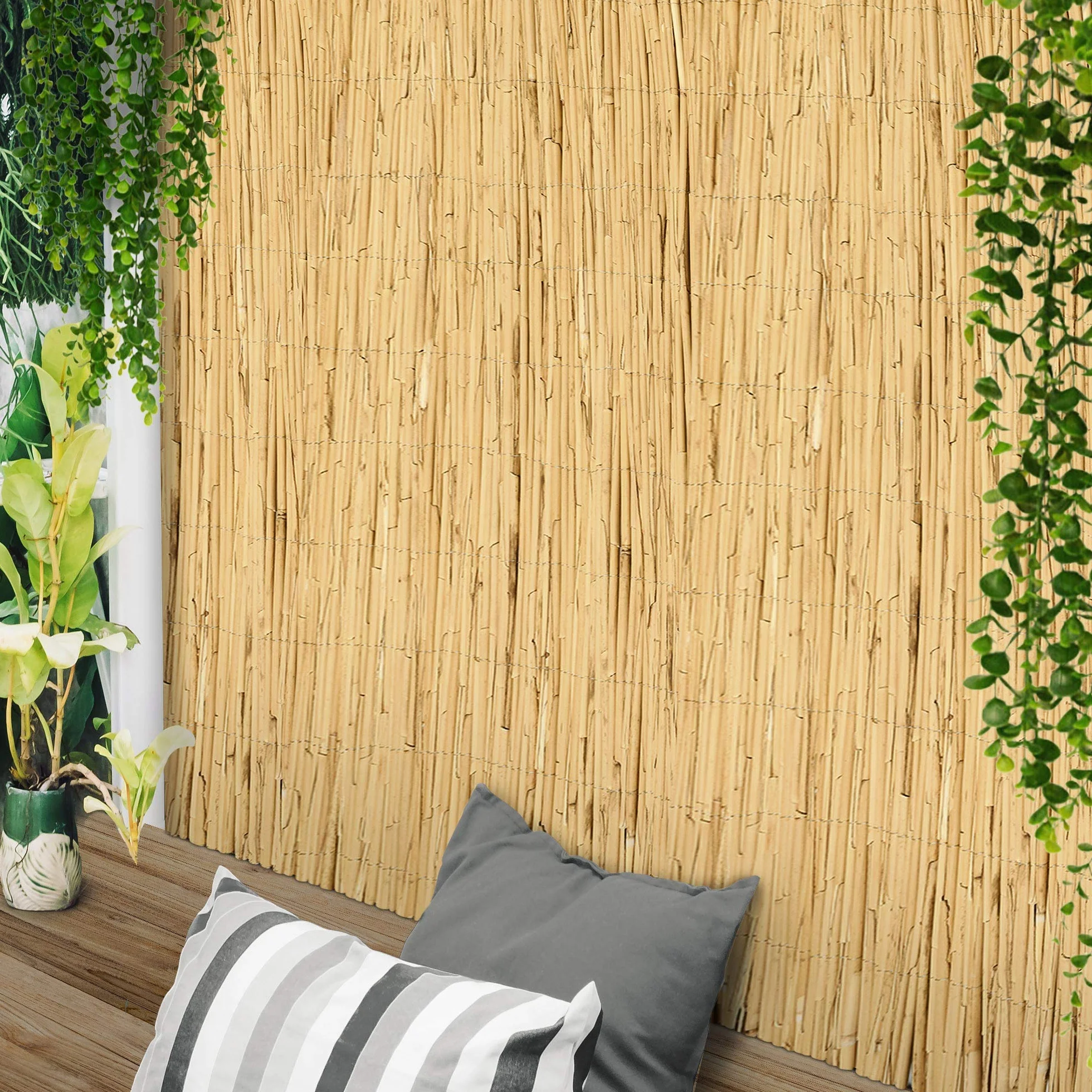 Sol Royal Premium Parawan Ogrodowy SolVision S36 Osłona z Trzciny Naturalny 100x600 cm