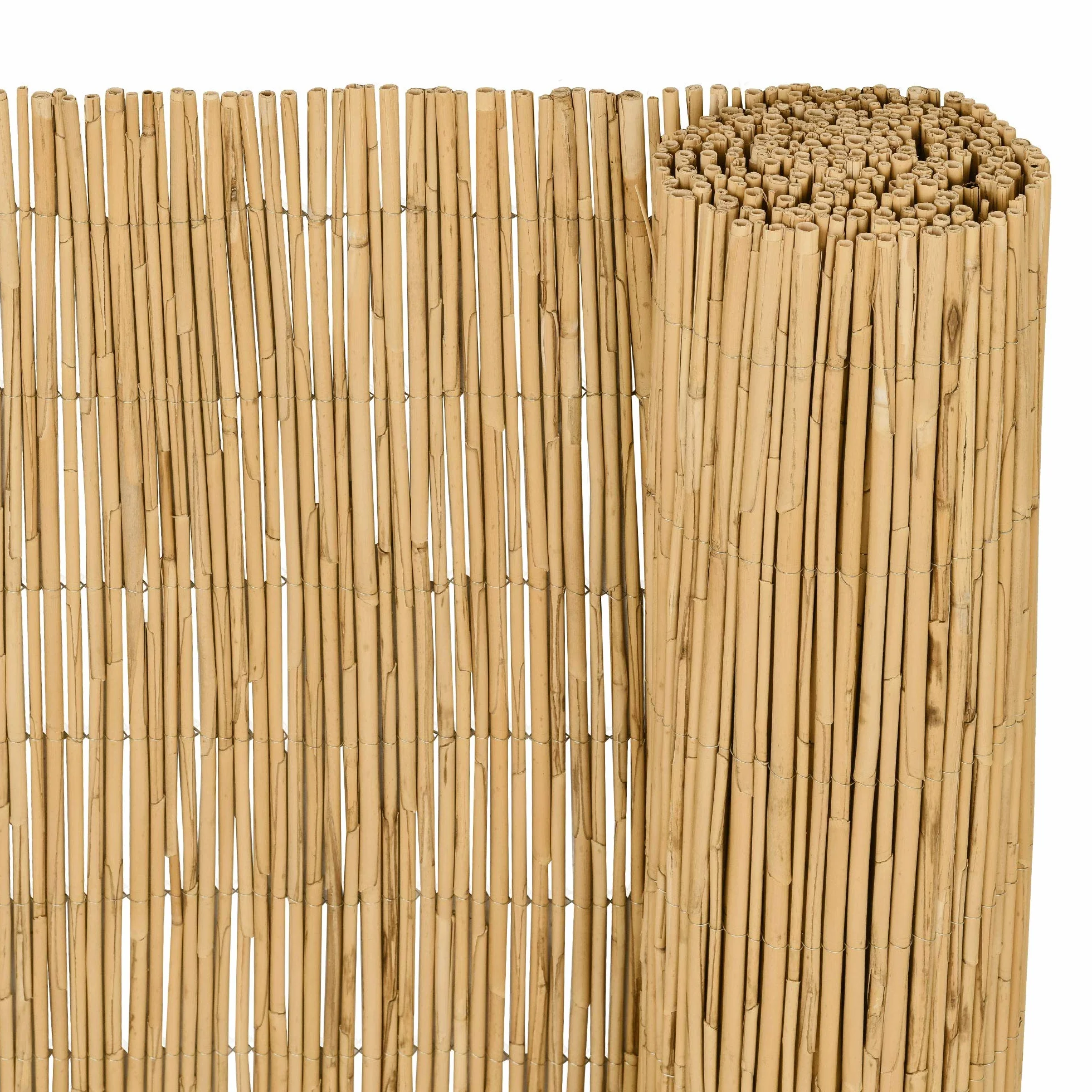Sol Royal Premium Parawan Ogrodowy SolVision S36 Osłona z Trzciny Naturalny 100x600 cm