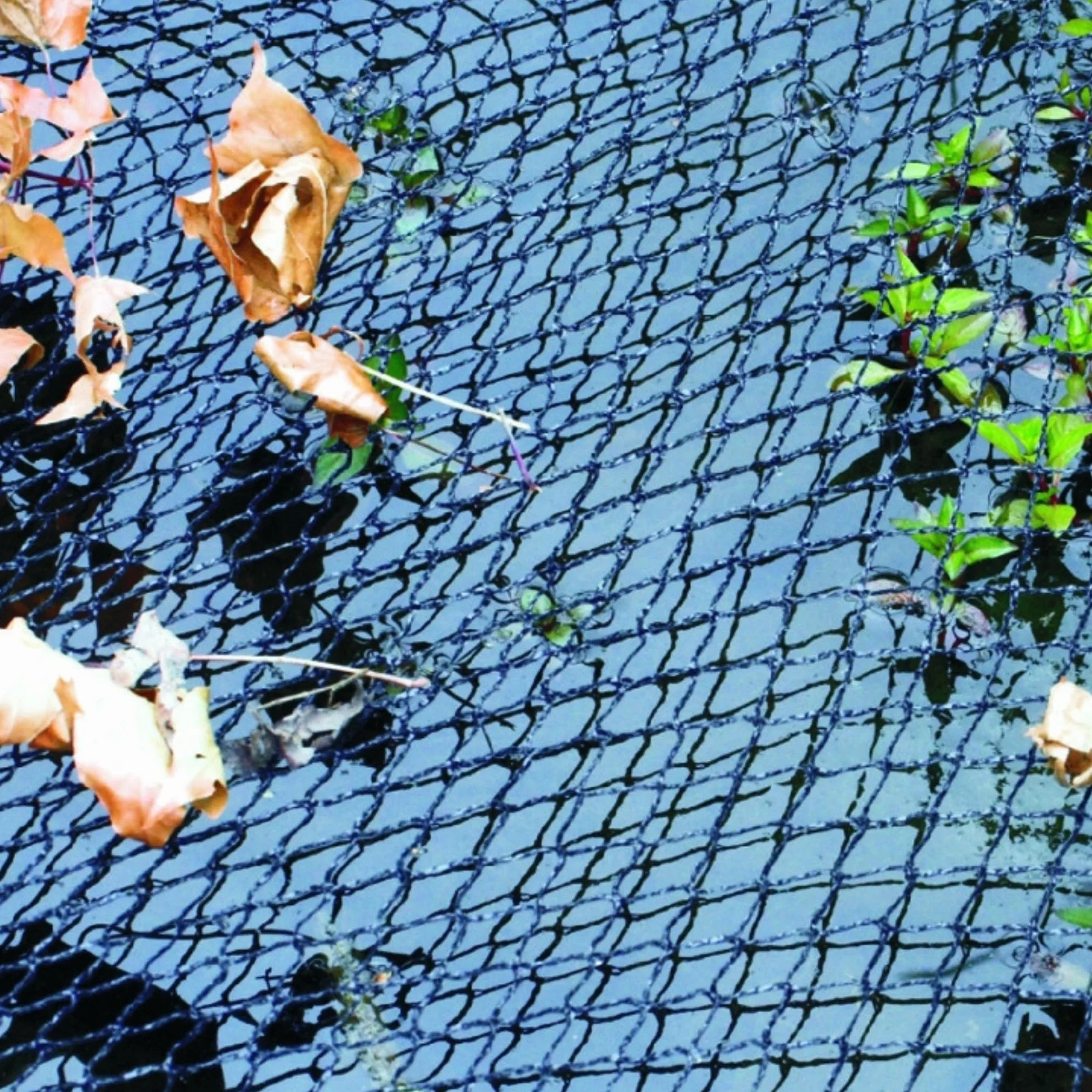 Siatka maskująca do stawu 6 x 10 m czarna VT 148043