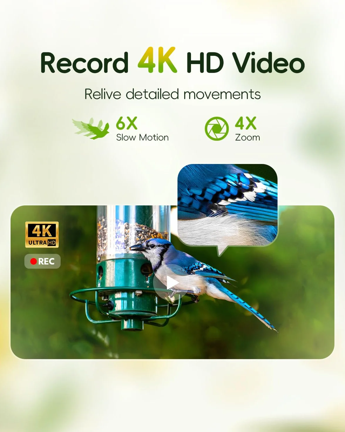 Hibird 4K HD inteligentna kamera do karmnika dla ptaków, zasilana energią słoneczną, podwójne WiFi 2,4G/5G, 6-krotny film w zwolnionym tempie, AI identyfikuje ponad 10 000 gatunków